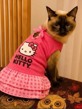 Pet Dress for a small cat Hello Kitty Pink Polka Dot Dress